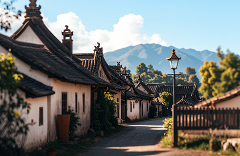 无电弱电地区微网方案
